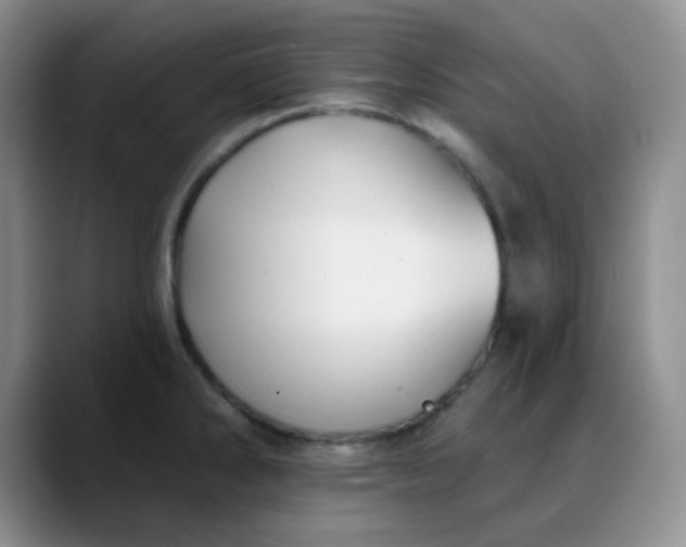 X0000088711286200706141442