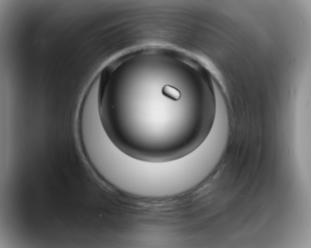 X0000088711287200706141442