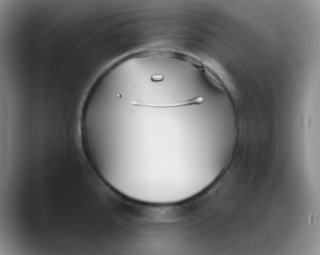 X0000088711288200706141441