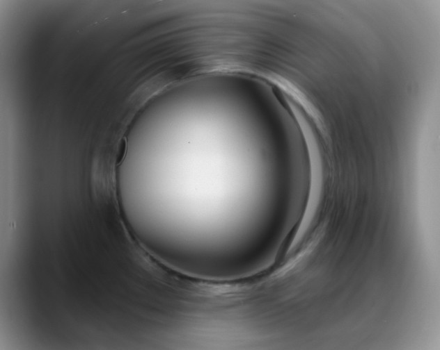 X0000088711289200706141441