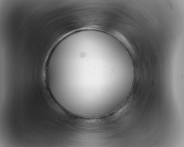 X0000088711292200706141441