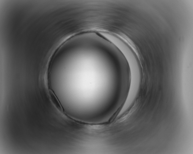 X0000088711293200706141441