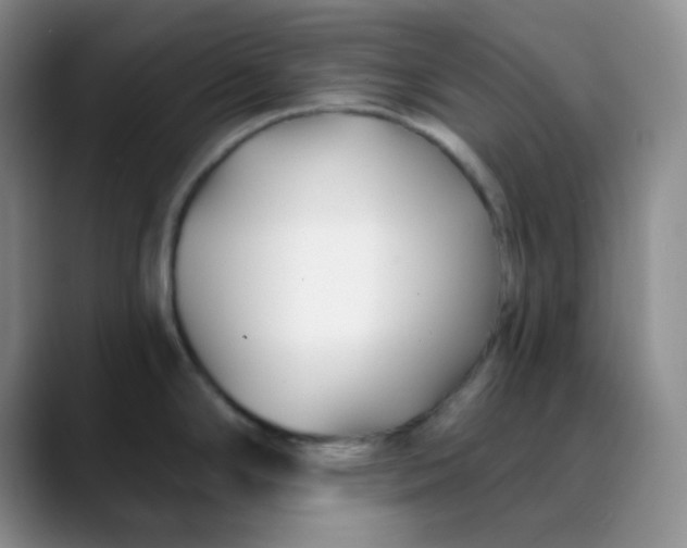 X0000088711294200706141441