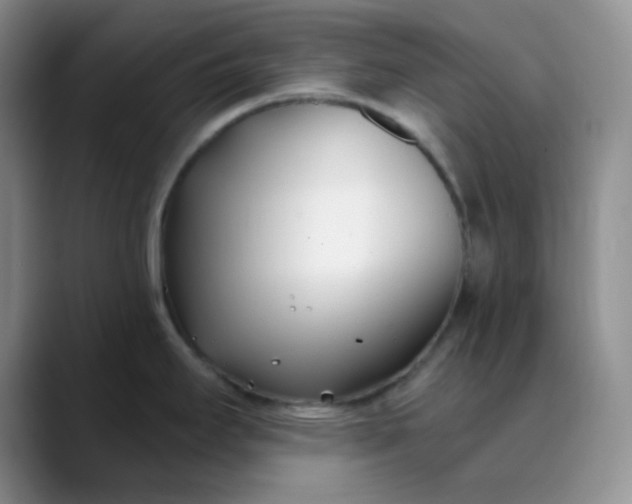 X0000088711295200706141441