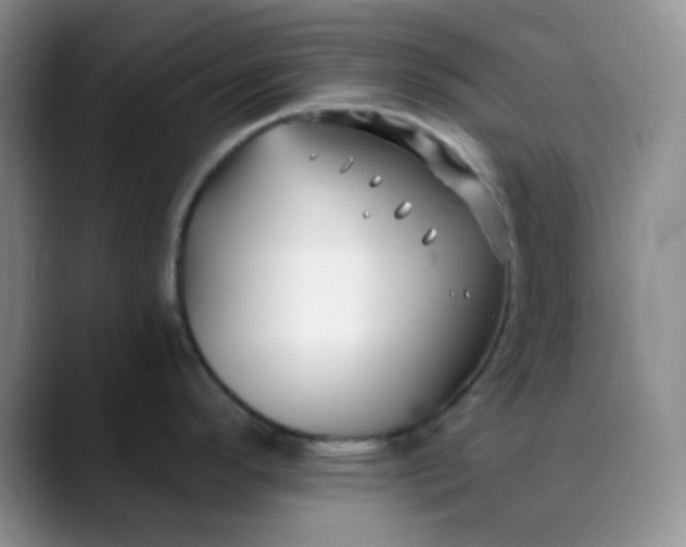 X0000088711296200706141441