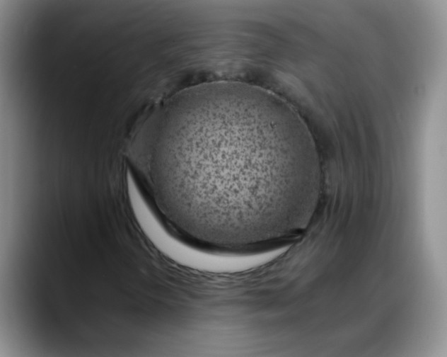 X0000088711298200706141441