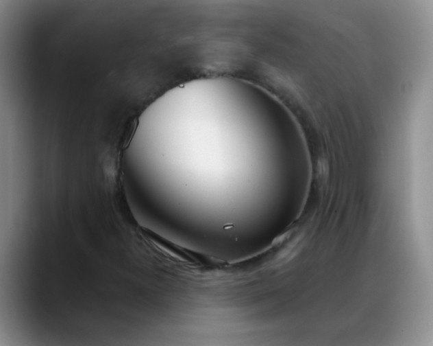 X0000088711300200706141441