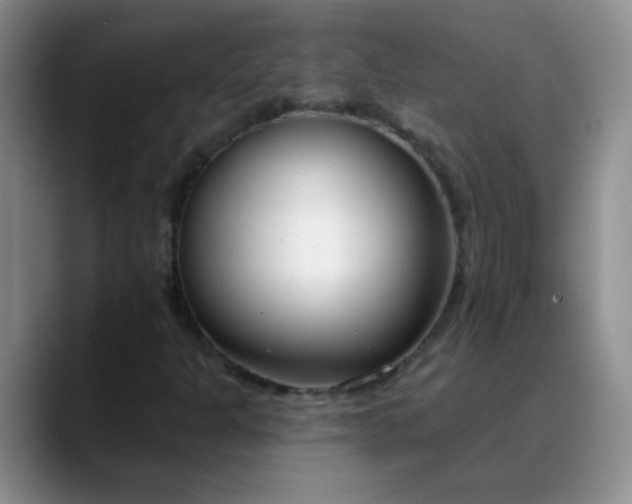 X0000088711301200706141441