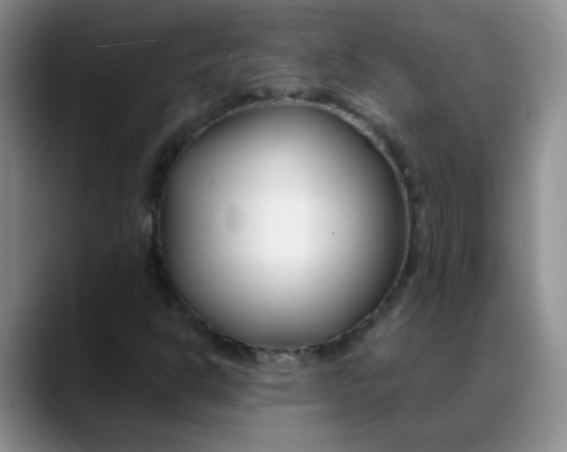 X0000088711302200706141441