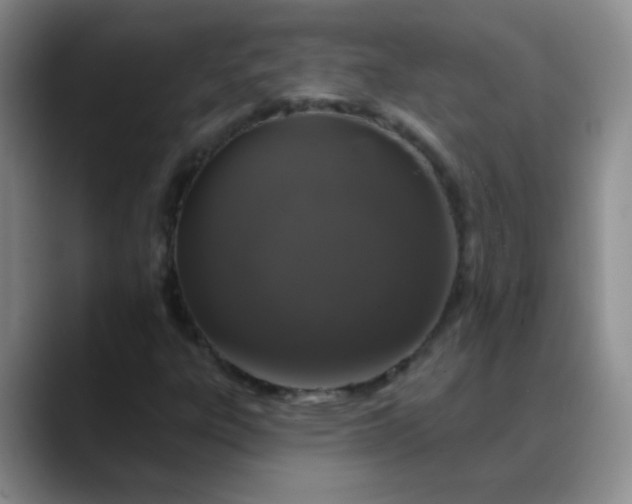 X0000088711303200706141441