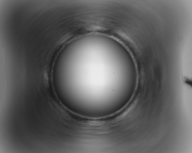 X0000088711305200706141441