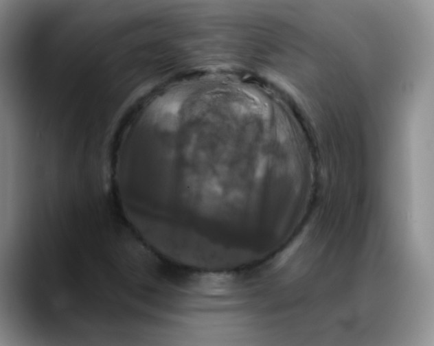 X0000088711306200706141441