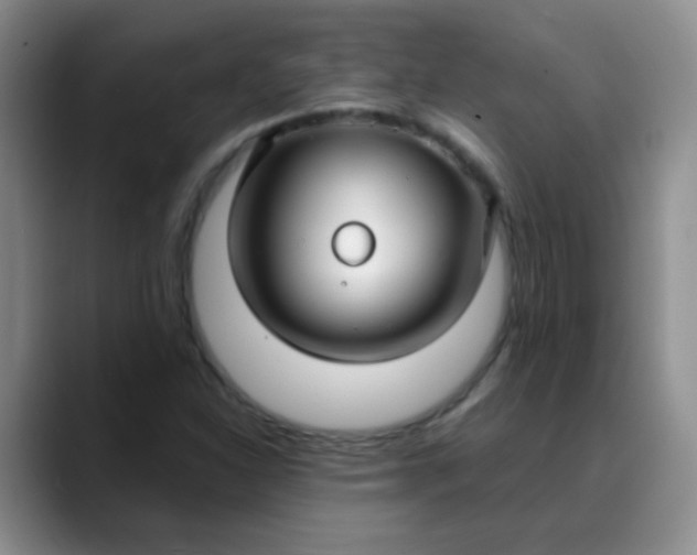 X0000088711310200706141441