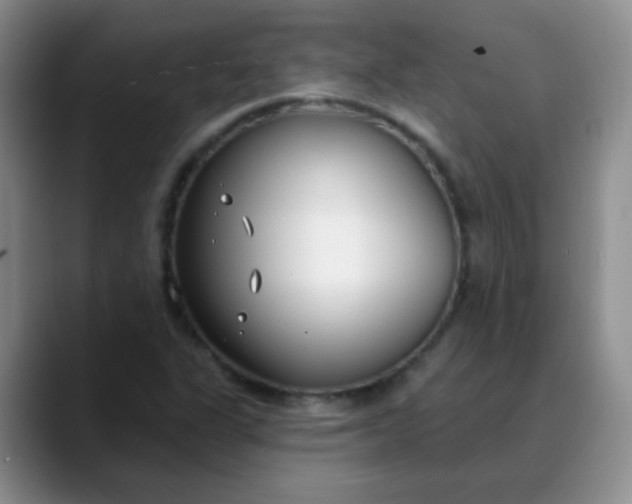 X0000088711311200706141441