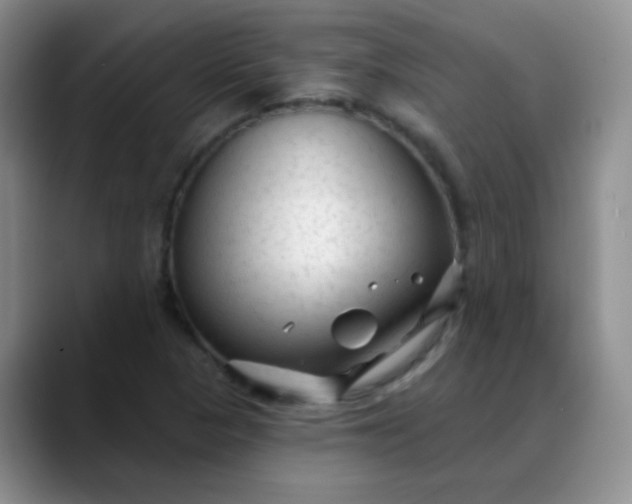 X0000088711313200706141441