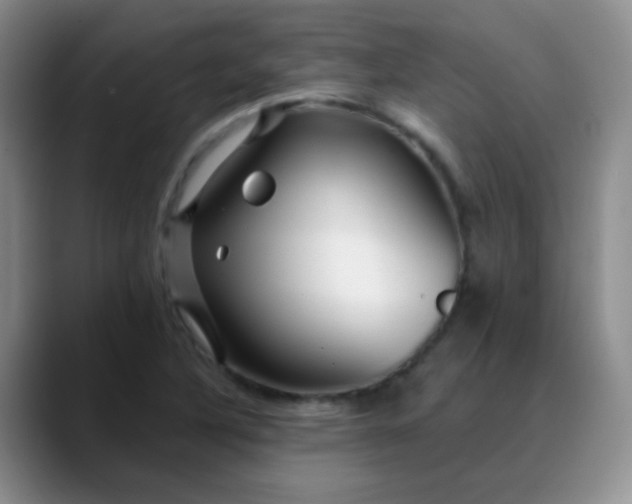 X0000088711316200706141441