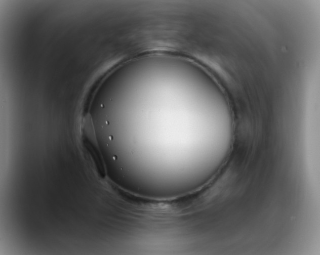 X0000088711317200706141441