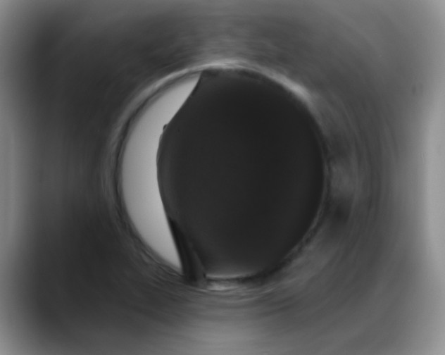 X0000088711319200706141441