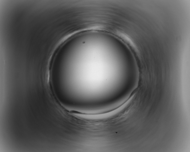 X0000088711324200706141441