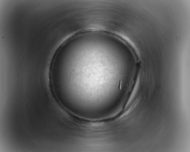 X0000088711325200706141441