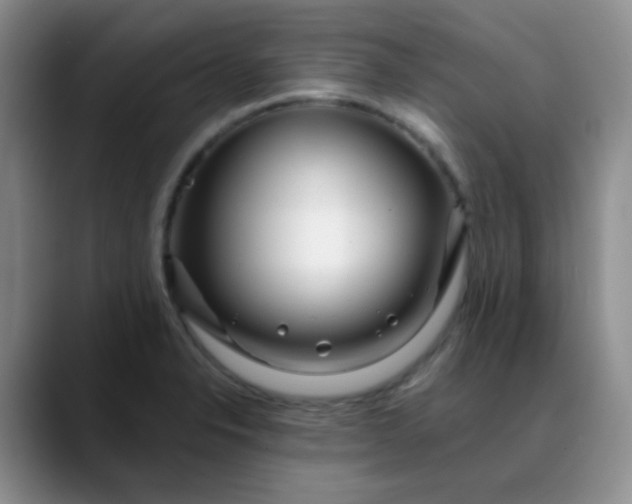 X0000088711326200706141441