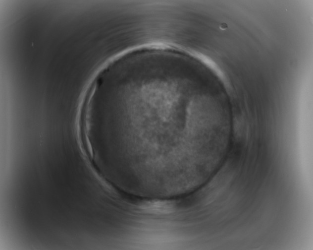 X0000088711327200706141441