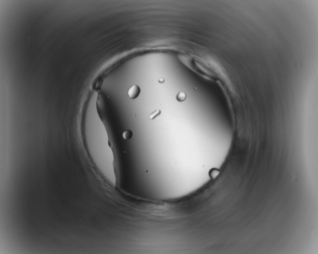 X0000088711328200706141441