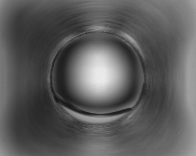 X0000088711330200706141441