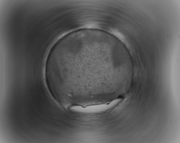 X0000088711331200706141441