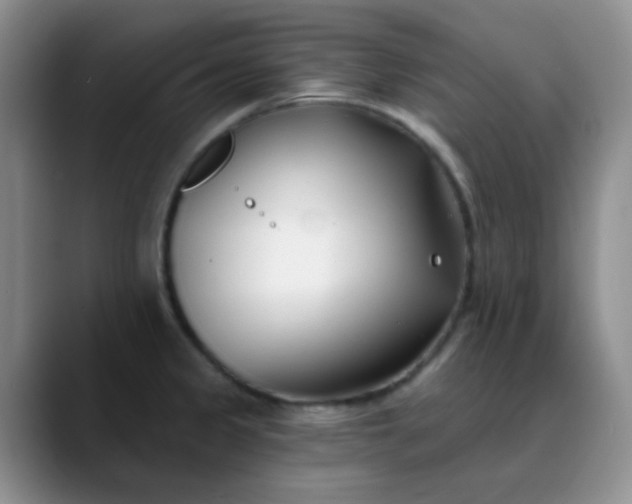 X0000088711333200706141441