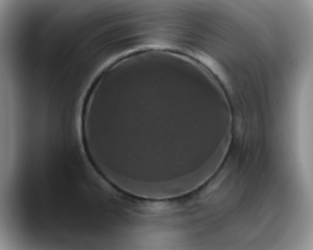 X0000088711334200706141441