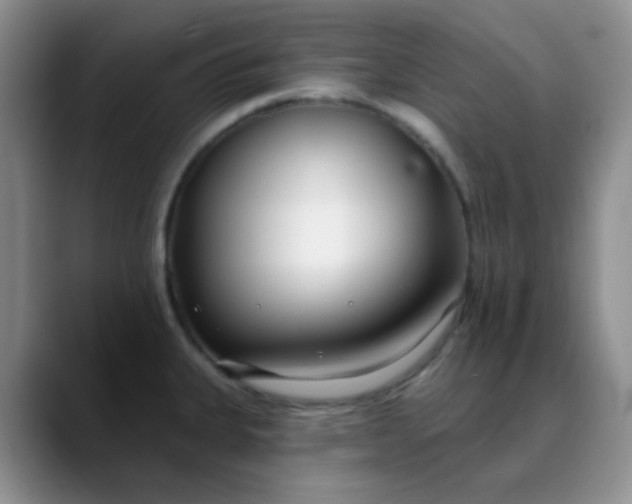 X0000088711335200706141441