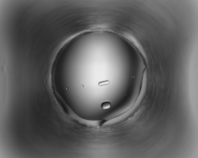 X0000088711336200706141441