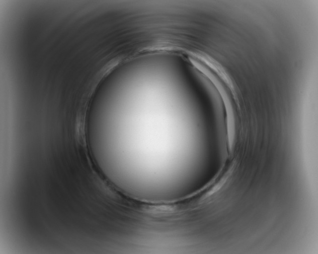 X0000088711337200706141441