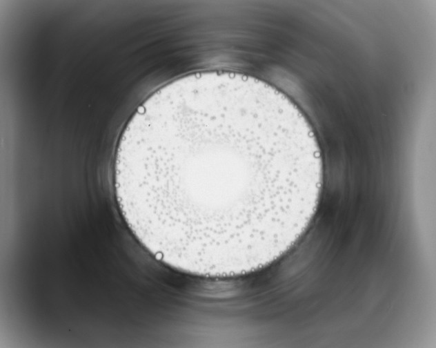 X0000088711338200706141441