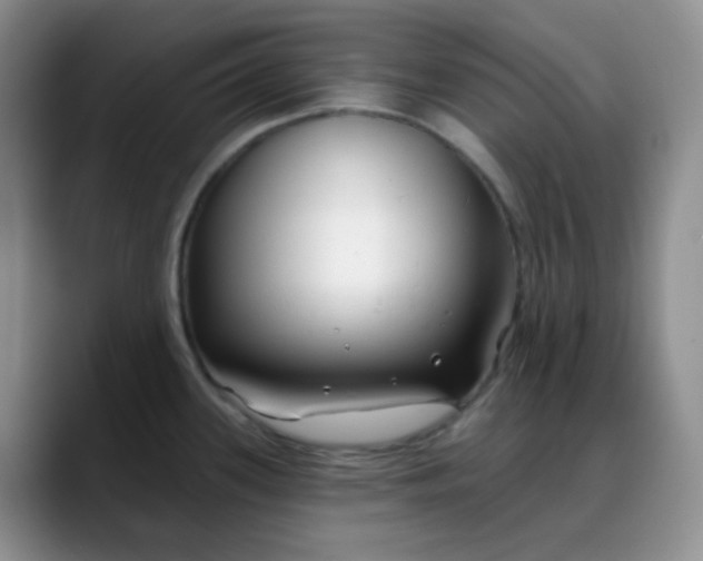 X0000088711339200706141441