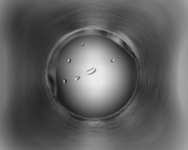 X0000088711340200706141441