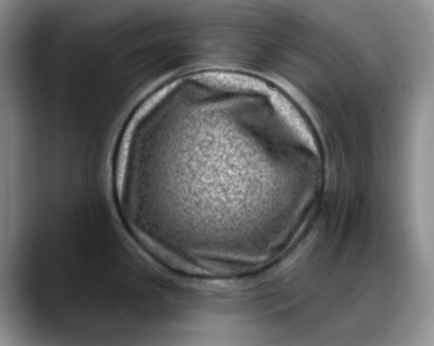 X0000088711341200706141441