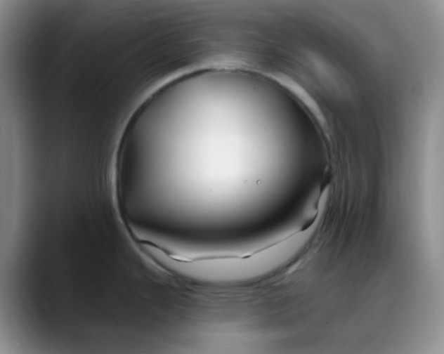 X0000088711343200706141441