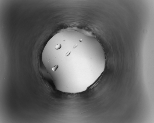 X0000088711345200706141441