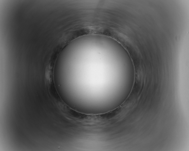 X0000088711346200706141441