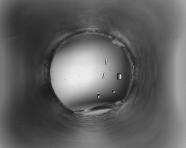 X0000088711352200706141441