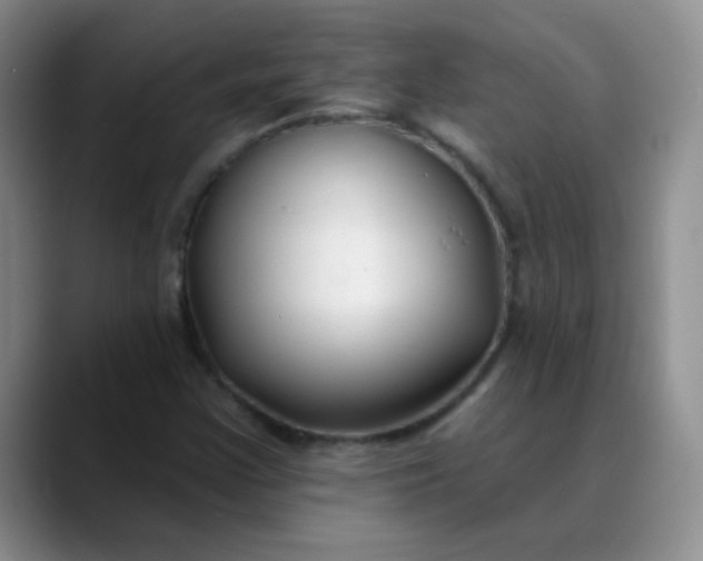 X0000088711355200706141441