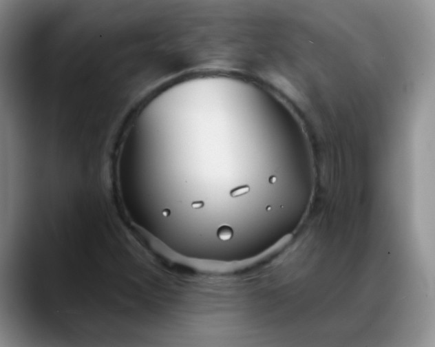 X0000088711356200706141441