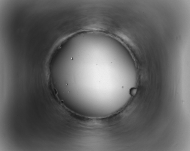 X0000088711358200706141441