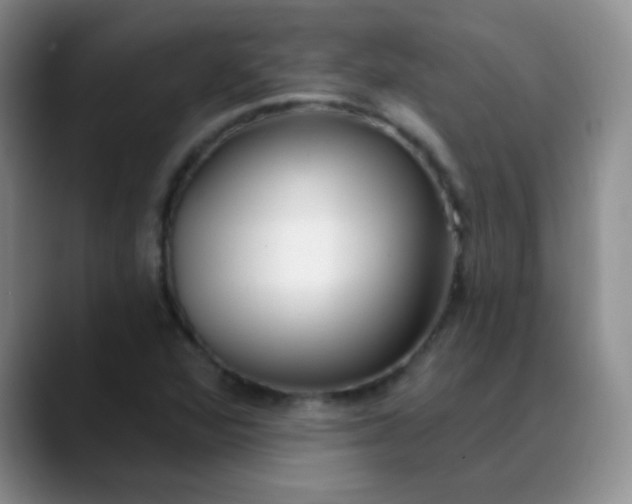 X0000088711360200706141441