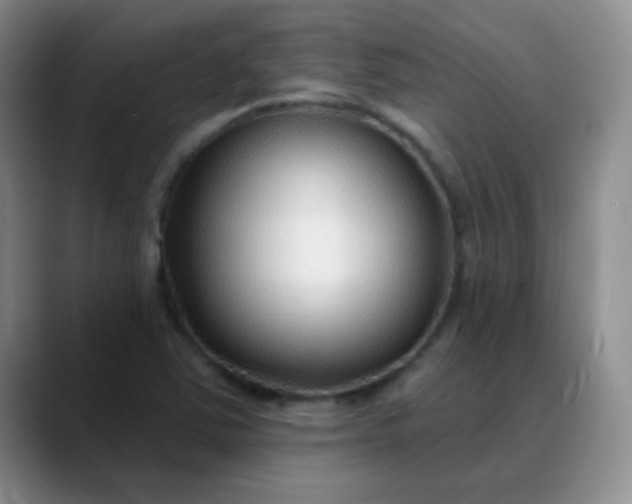 X0000088711363200706141441