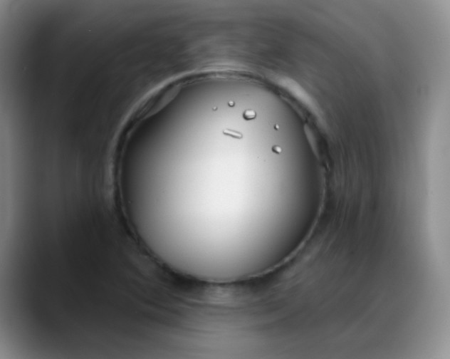 X0000088711364200706141441