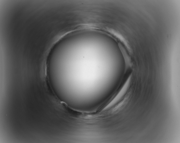 X0000088711365200706141441