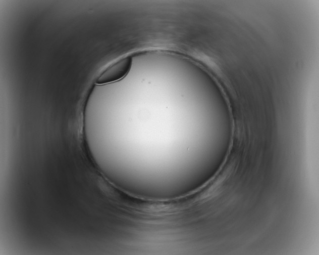 X0000088711366200706141441